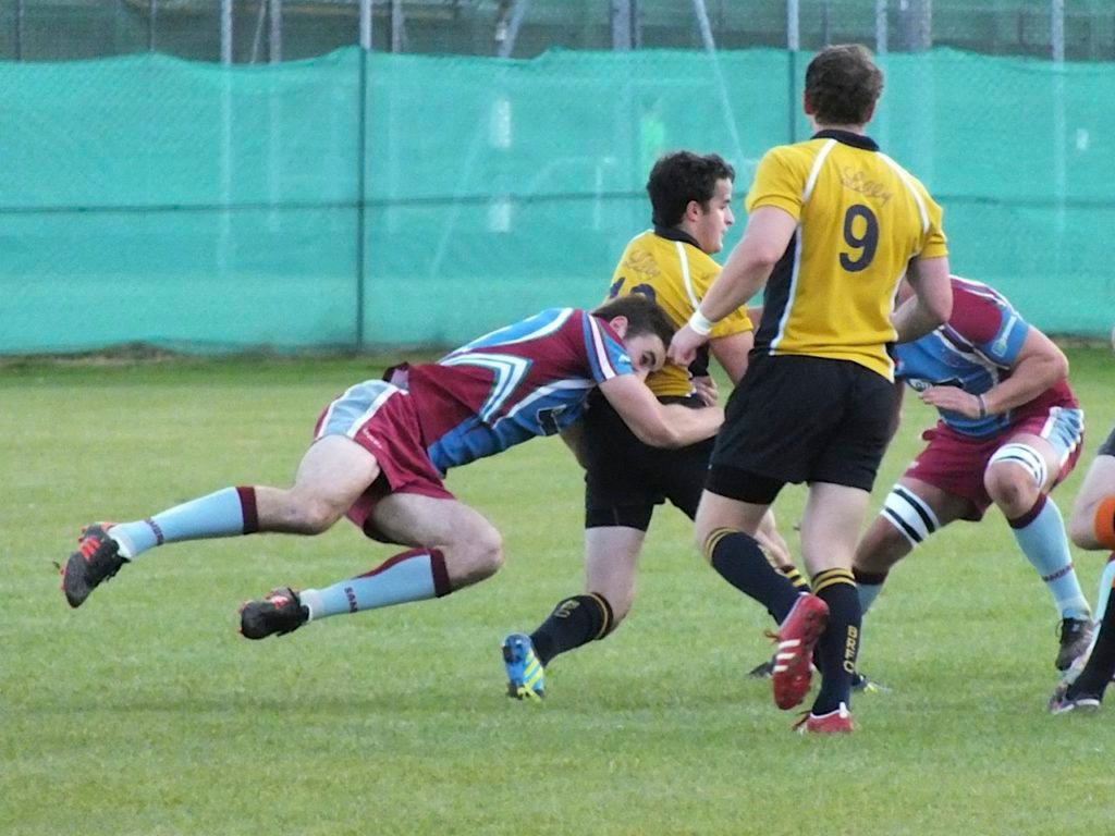 Basingstoke v Hove Sept 1203