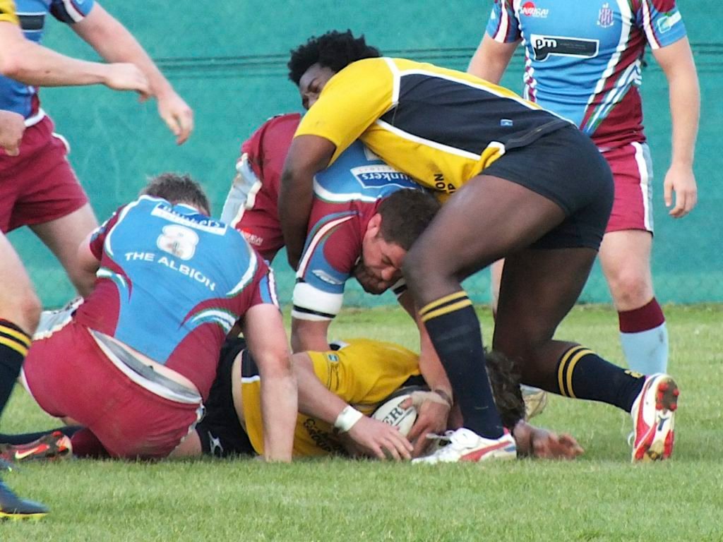 Basingstoke v Hove Sept 1217