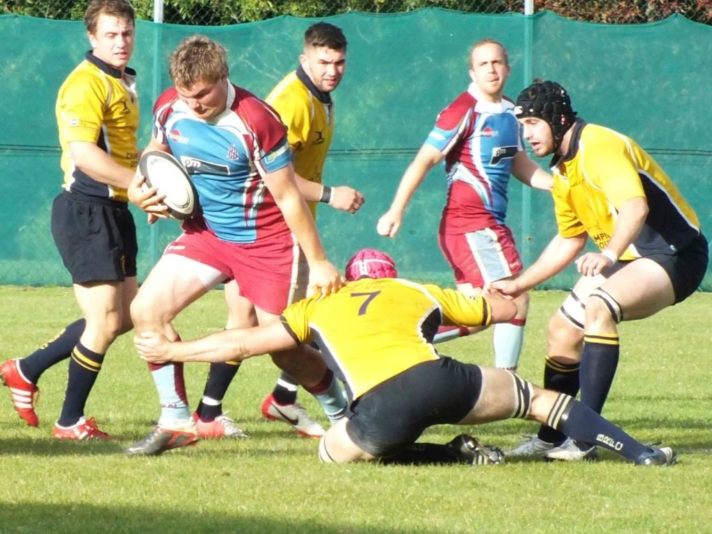 Basingstoke v Hove Sept 1223